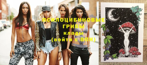 гашик Болохово