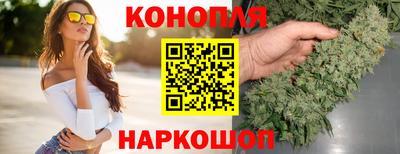 шишки Гусиноозёрск